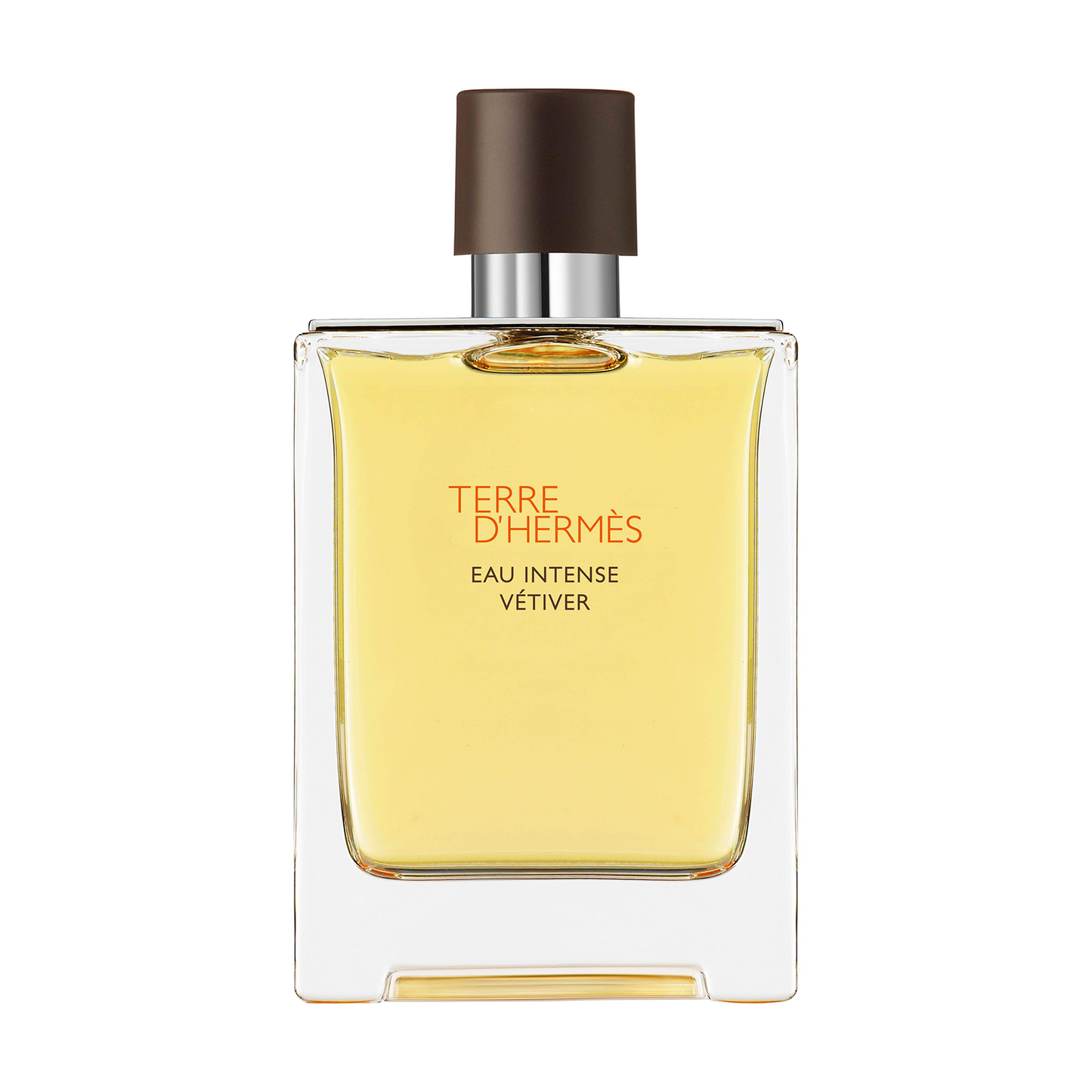 Hermes Terre eau Intense Vetiver